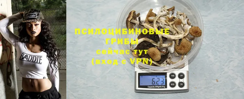 Псилоцибиновые грибы Cubensis  MEGA маркетплейс  Кувшиново 